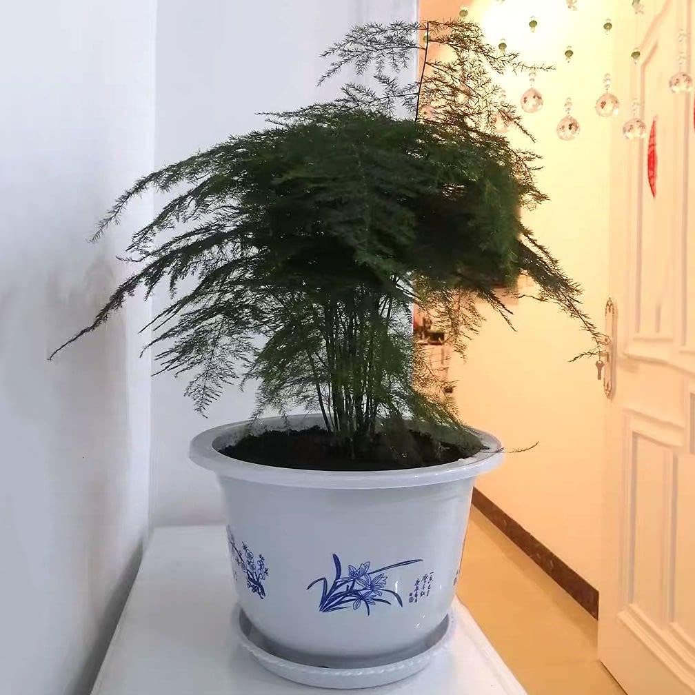 BowLift | Plastic flower pot with bamboo motif – Elegant planter for balcony and garden