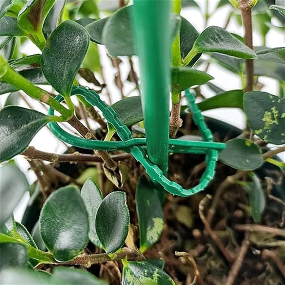 BowLift | Plant fastening cable tie set for stable securing of plants
