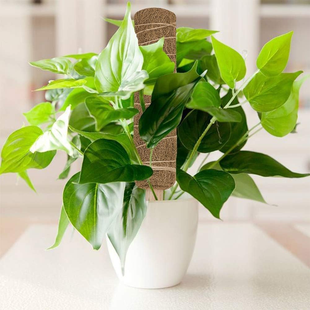 BowLift | Coconut moss stick for climbing plants – Natural climbing aid for houseplants and garden