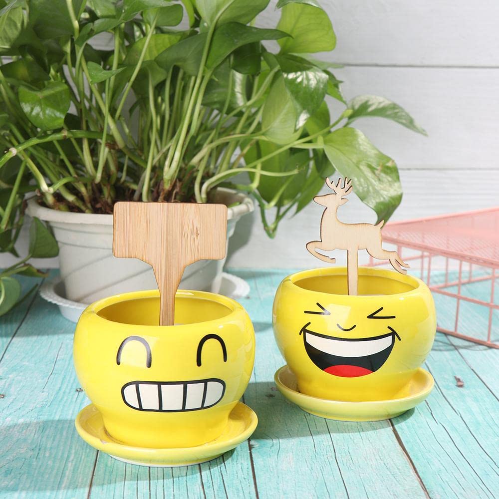 BowLift | Plant labels made of wood for garden and balcony – Rewritable labels for herbs and plants
