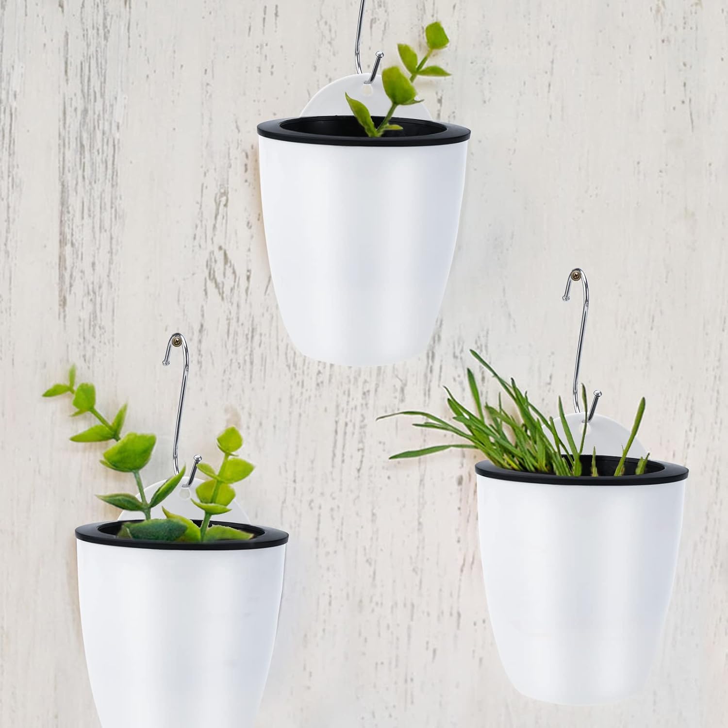 BowLift | Self-watering hanging plant pot – Modern flower pot for wall mounting