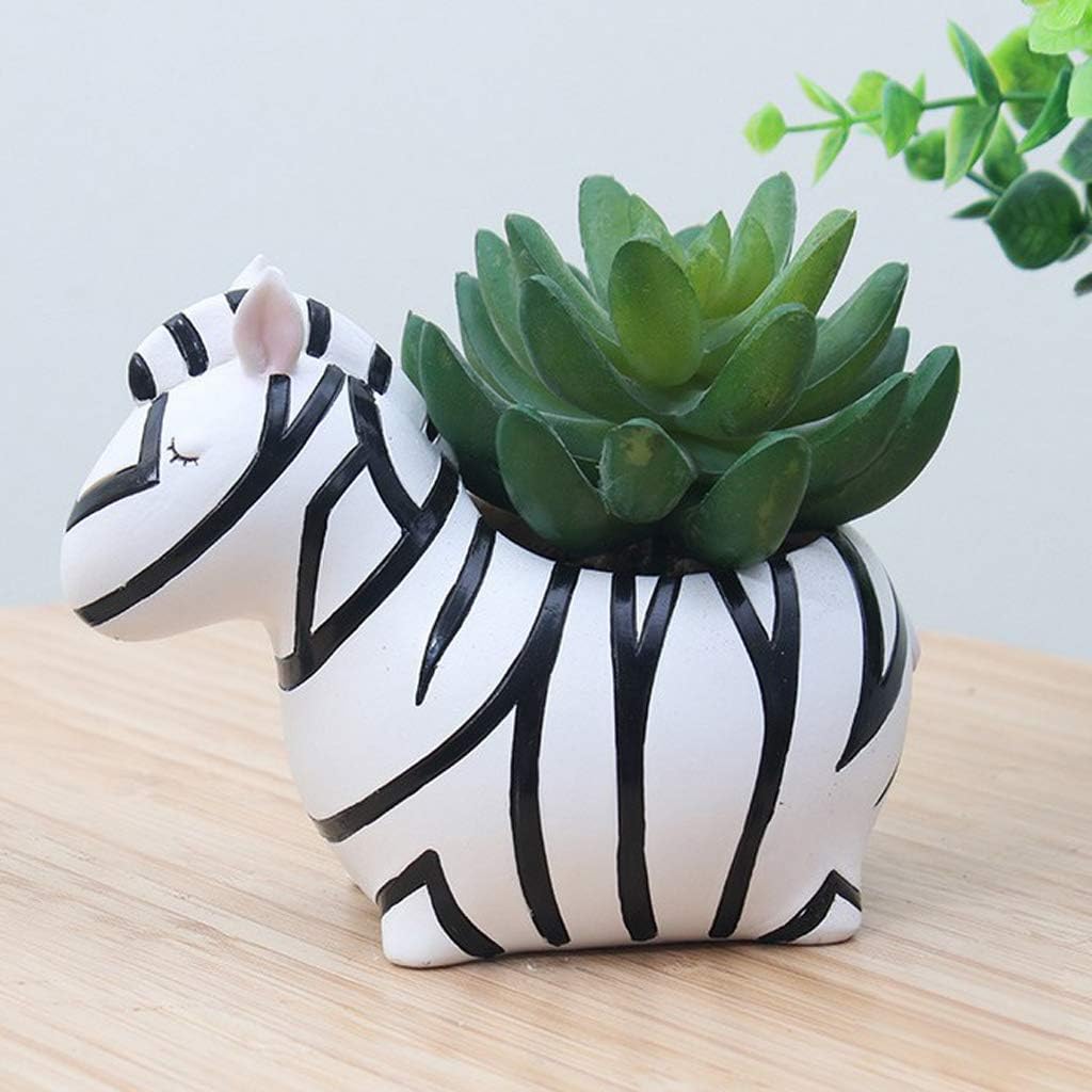 BowLift | Animal Plant Pots – Funny Animal Designs for Succulents and Cacti