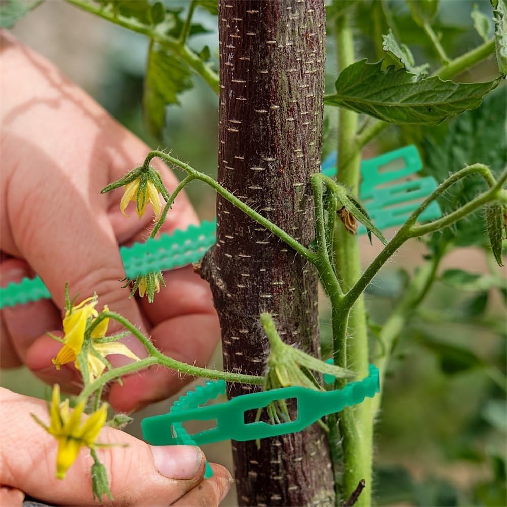 BowLift | Plant fastening cable tie set for stable securing of plants