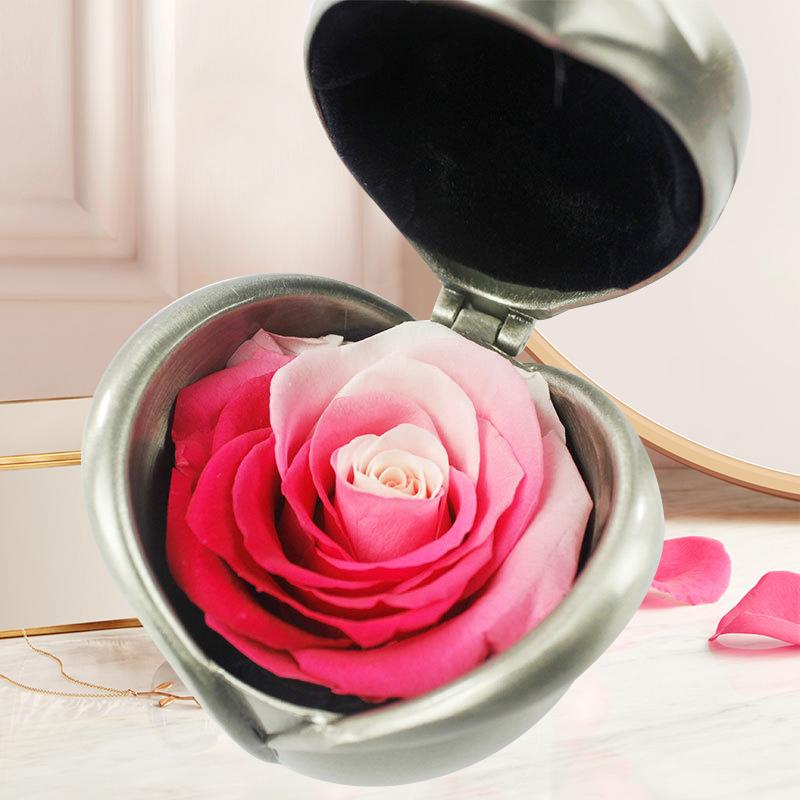 BowLift | Preserved Flower Rose