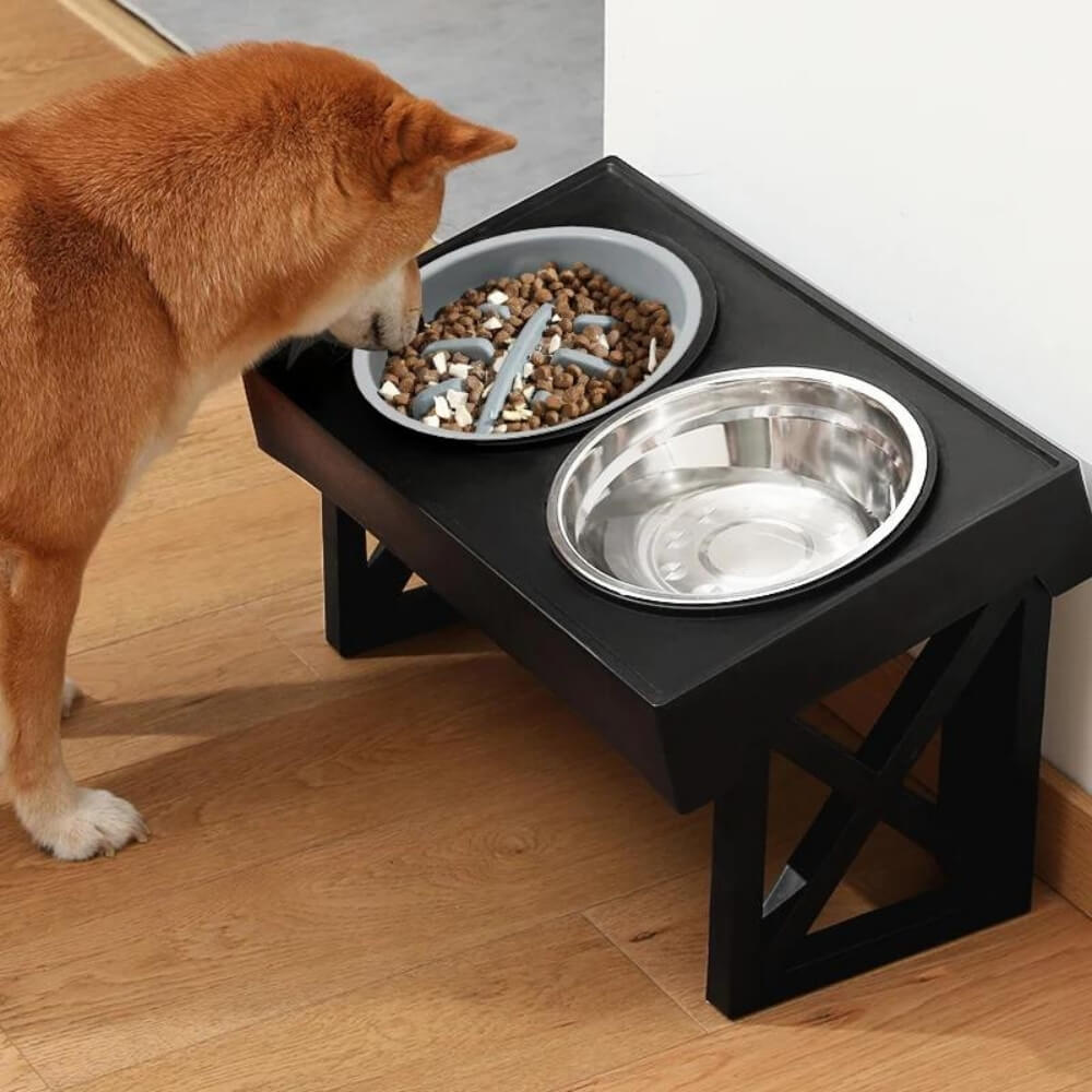 Slow Feeder Bowl for PupLift