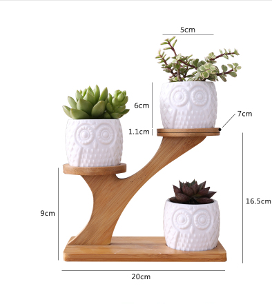 BowLift | Decorative plant stand made of wood – plant pots in owl design for succulents and indoor plants
