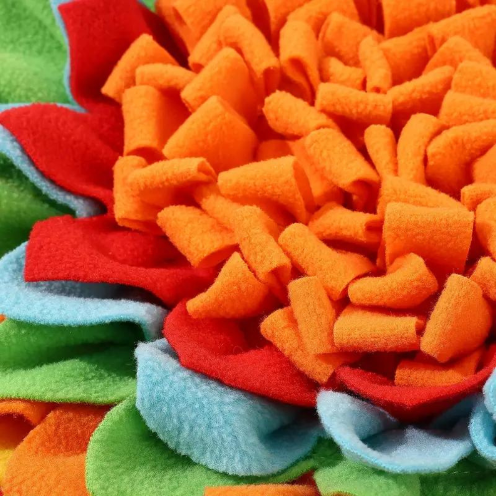 ForageFun• Dog Snuffle Mat