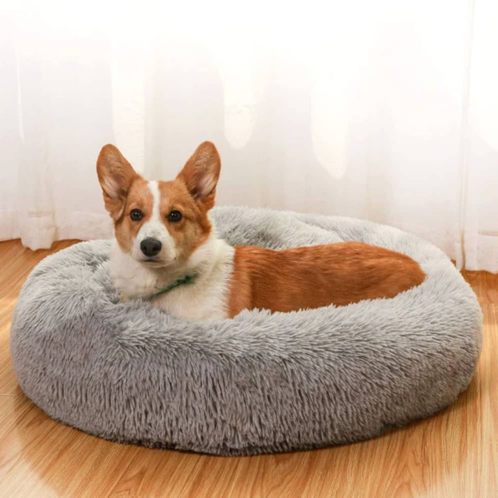 CalmNest • Anxiety-Reducing Pet Bed