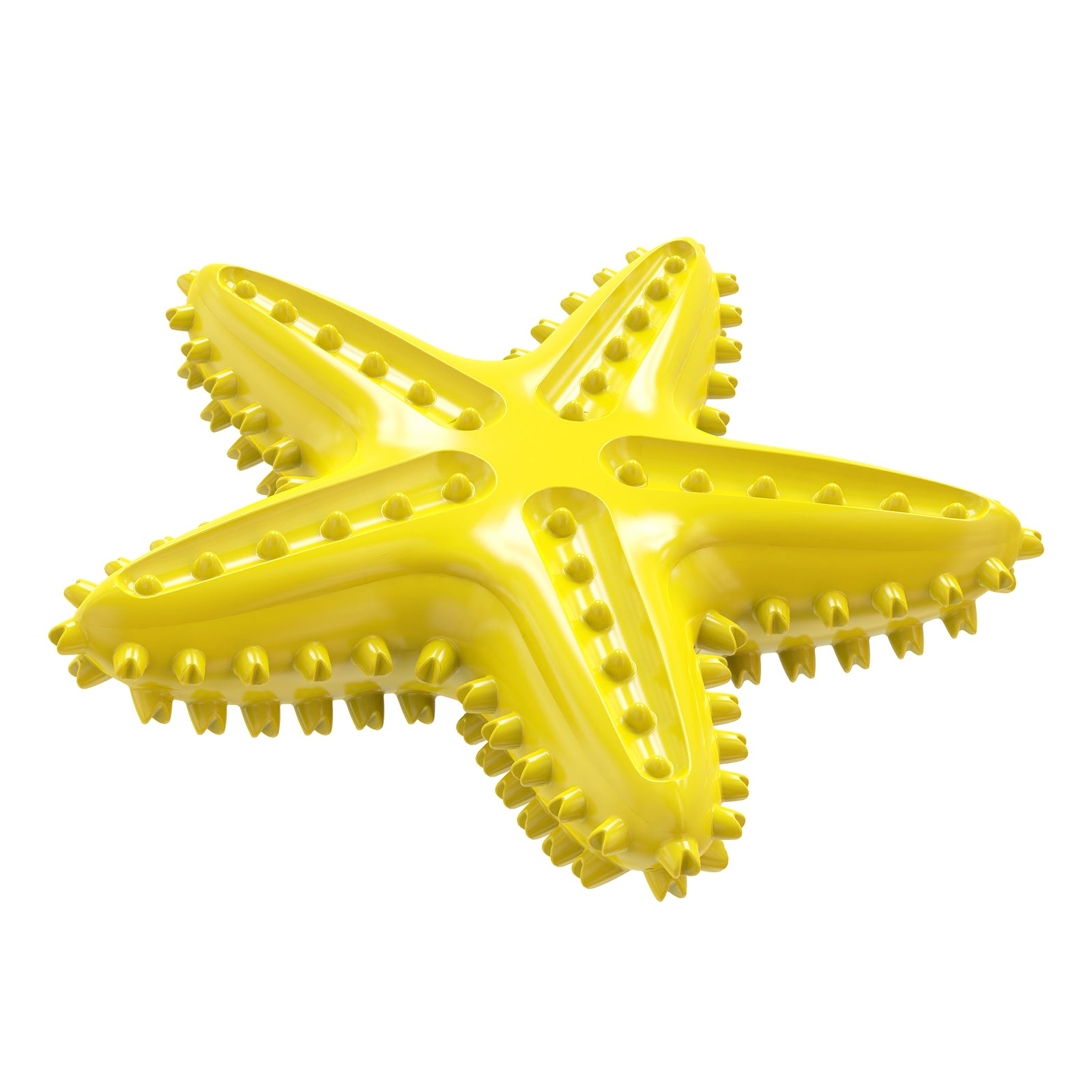 Starfish Dog Toothbrush Chew Toy for Dental Care