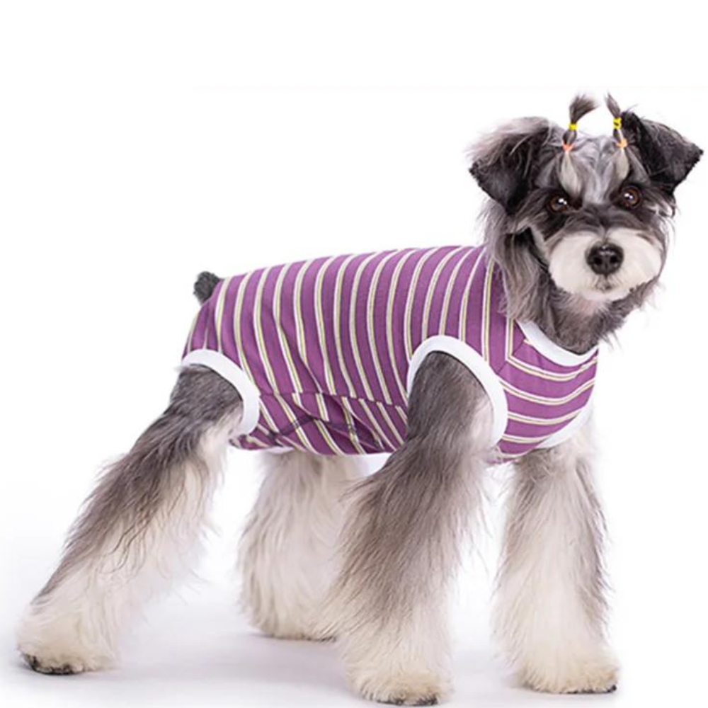 StripeGuard • Dog Recovery Suit for Post-Surgery Care