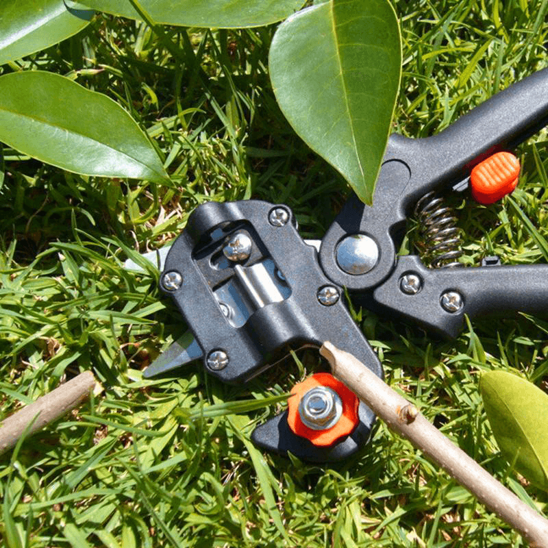 BowLift | Professional Garden Grafting Tool Set