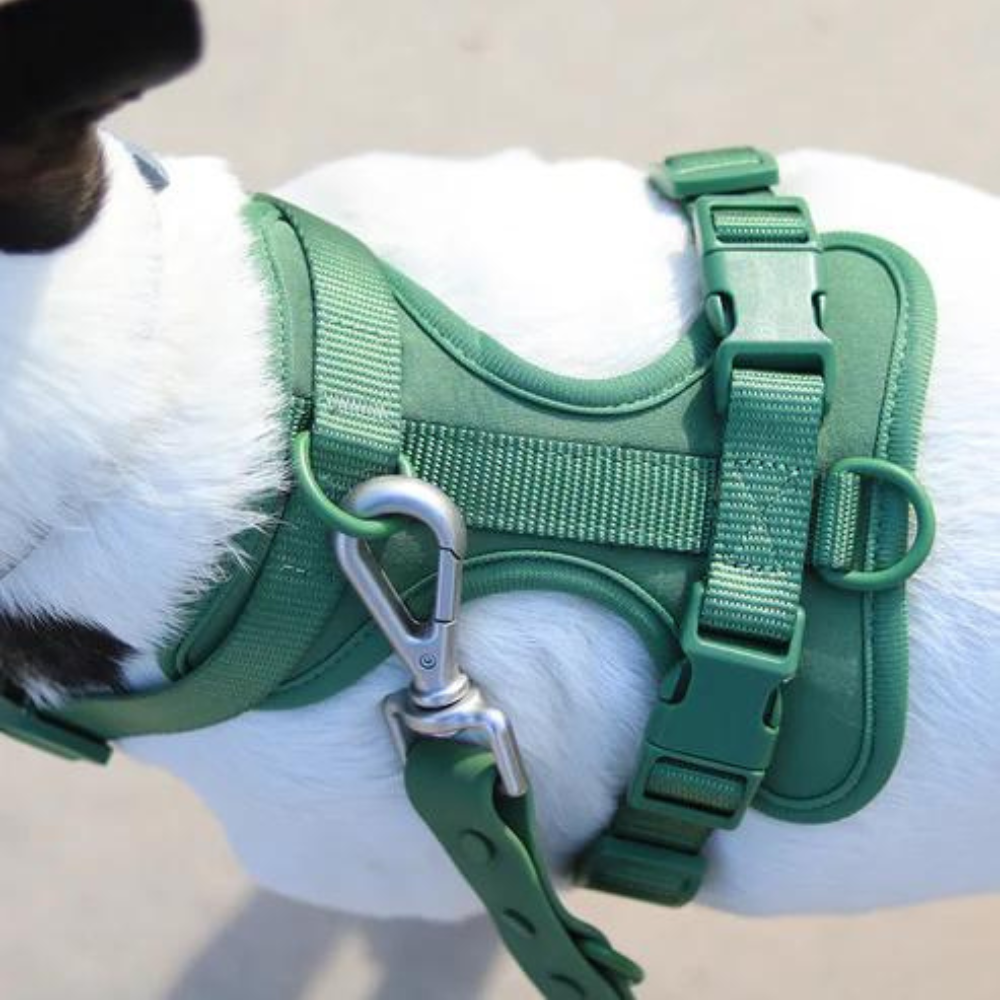 PaddedControl • No Pull Dog Harness