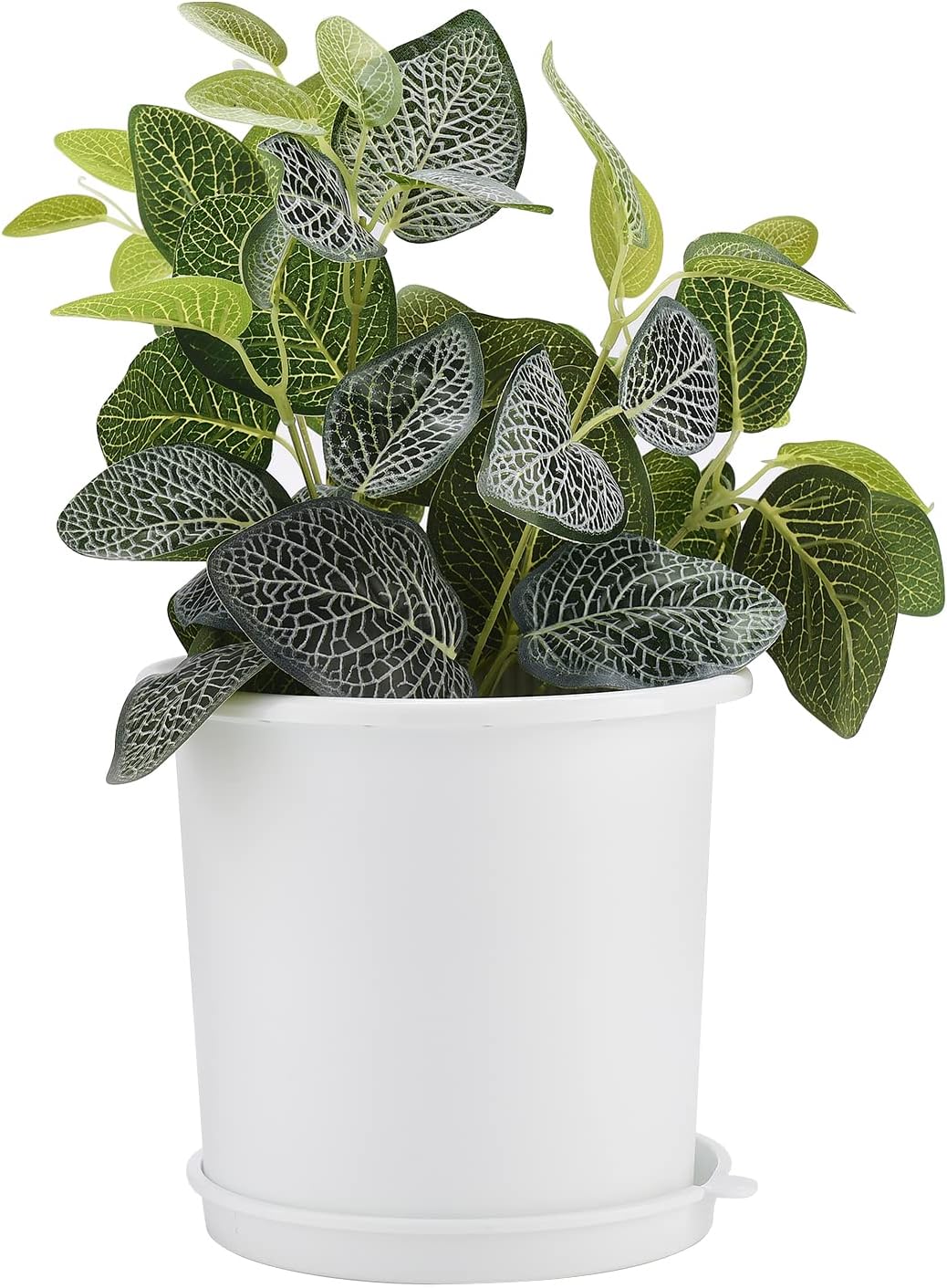 BowLift | Breathable Root Control Pot for Plants – Ideal for Healthy Growth and Optimal Aeration