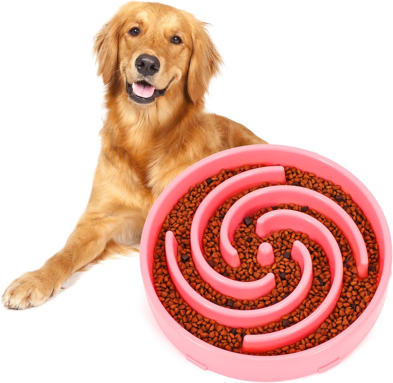 PuzzleFeast • Dog Feeding Bowl Slow