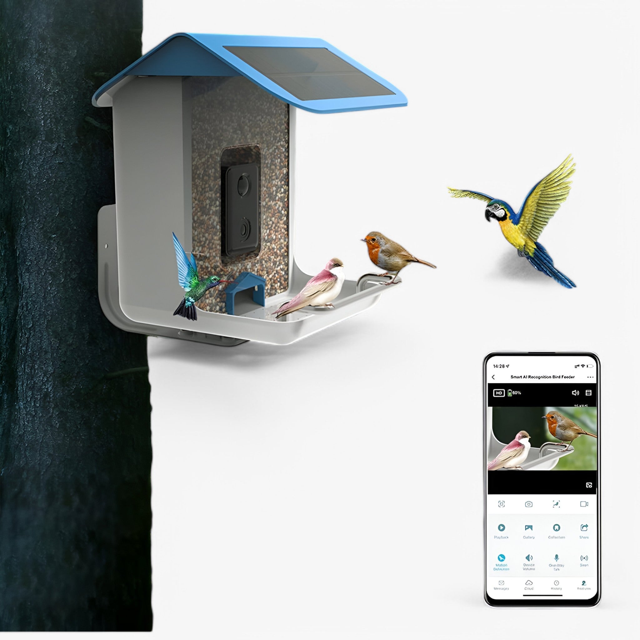BowLift | Auxco | Smart Bird Feeder with 1080P HD Camera, AI Bird Recognition & Solar Charging