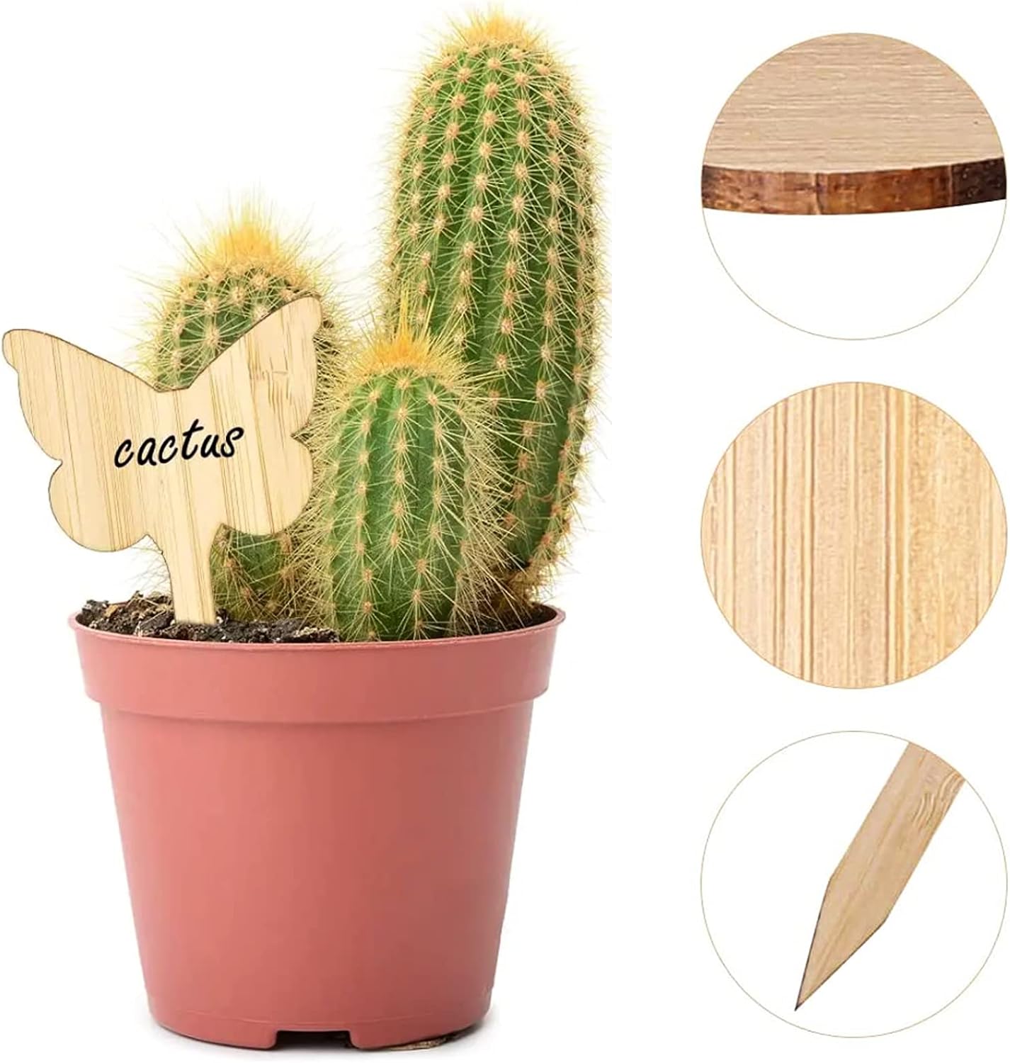 BowLift | Plant labels made of wood for garden and balcony – Rewritable labels for herbs and plants