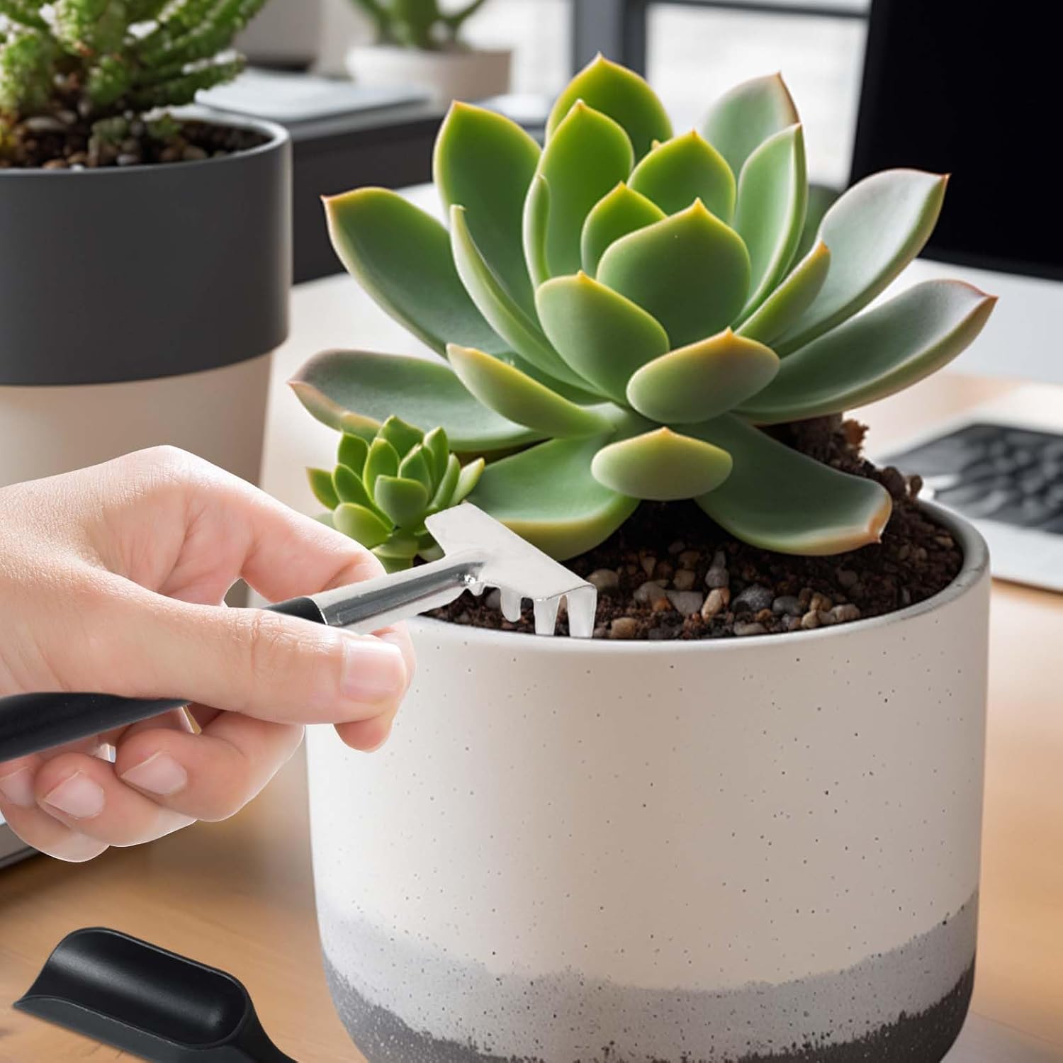 BowLift | 12-in-1 Succulent Tools Set with Storage Bag for Indoor Gardening