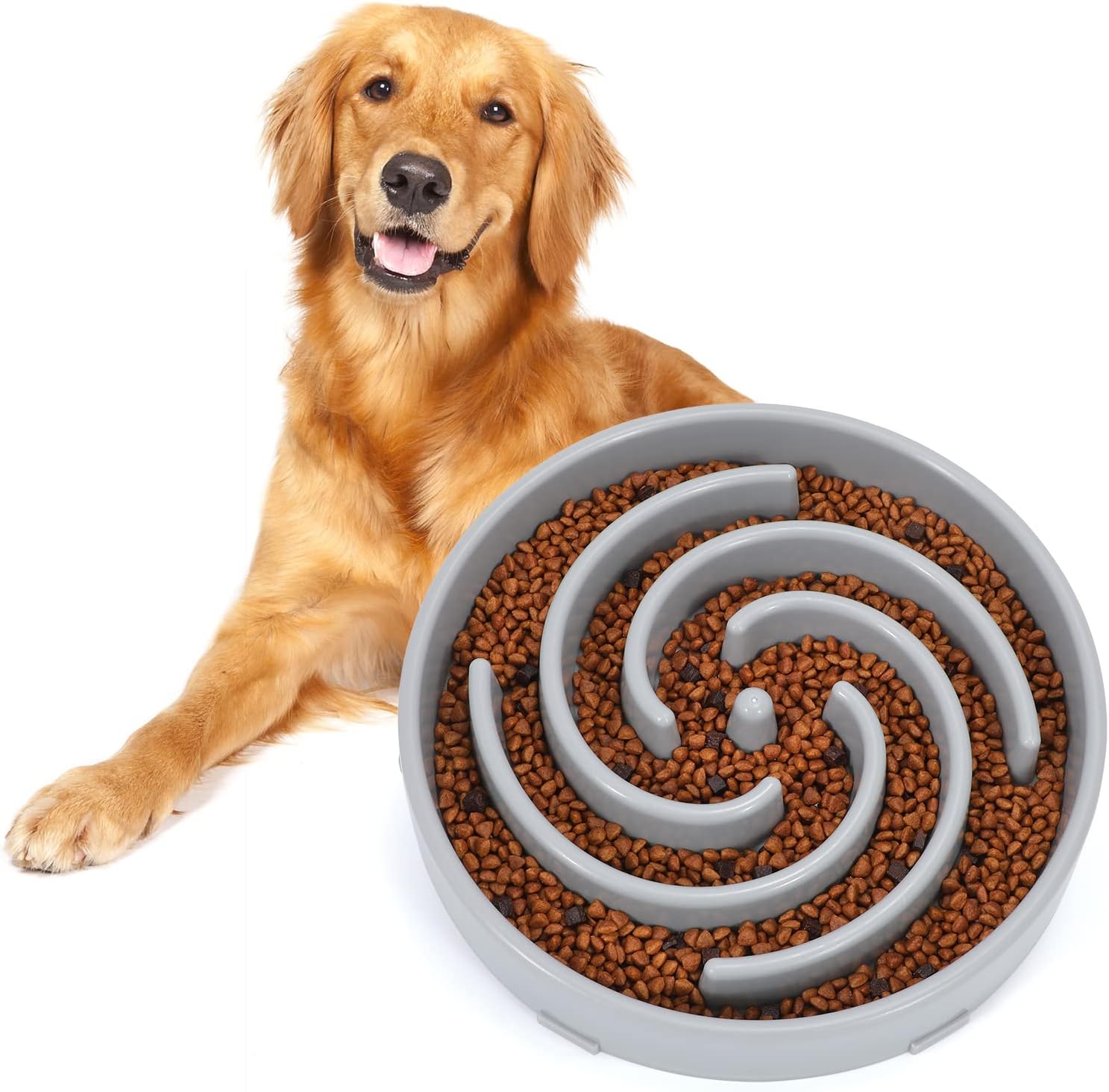 PuzzleFeast • Dog Feeding Bowl Slow