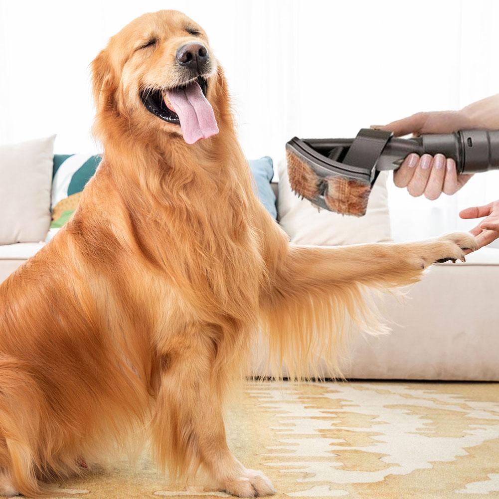 BowLift | DogCatFri VacuumBrush – Pet Grooming Vacuum Brush Attachment for Easy Hair Removal