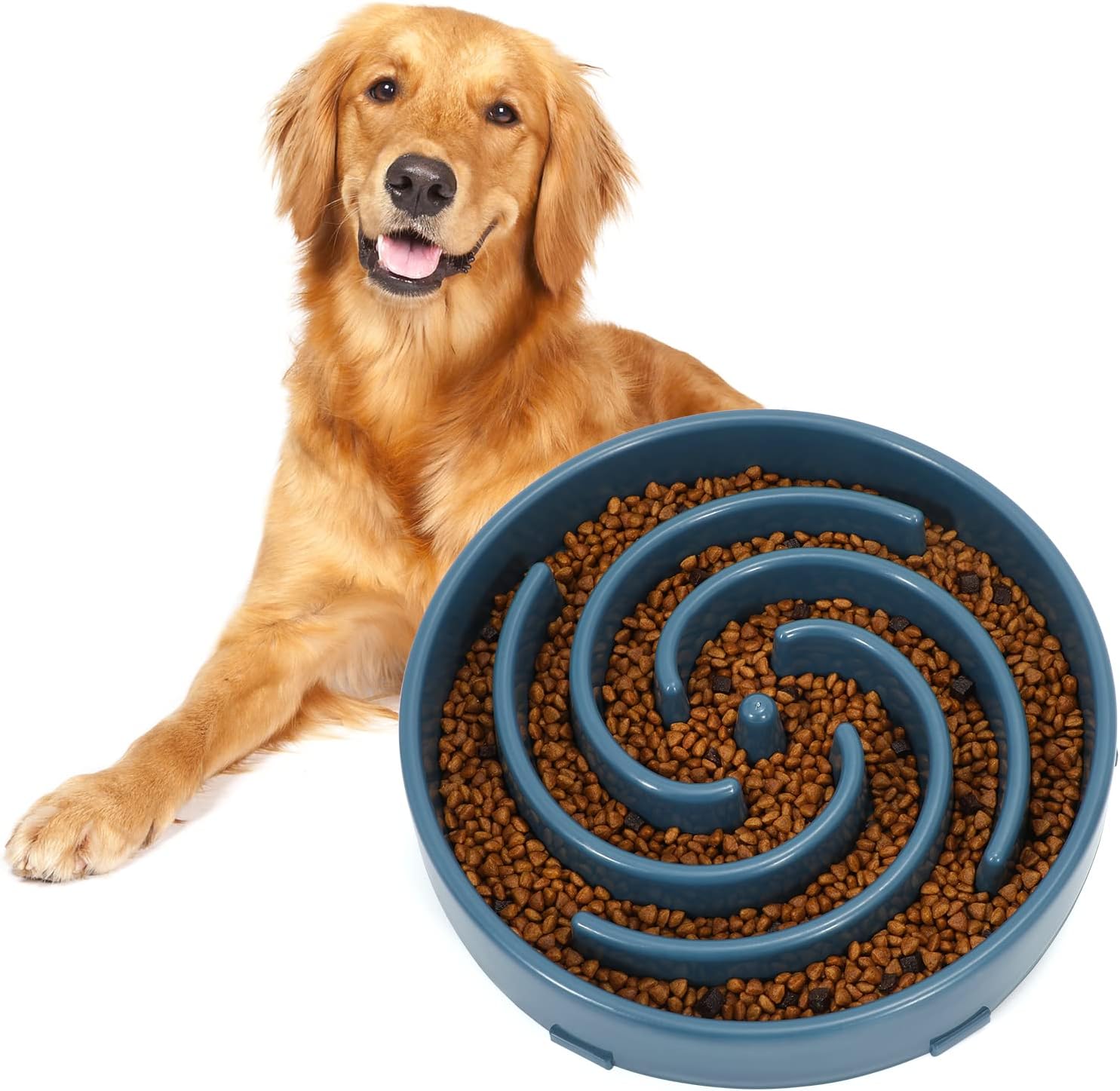 PuzzleFeast • Dog Feeding Bowl Slow