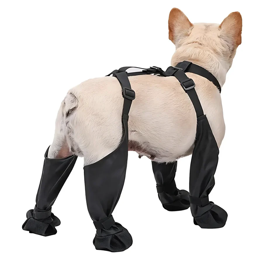 BowLift | Dog Suspender Boots with Full Coverage and Non-Slip Sole