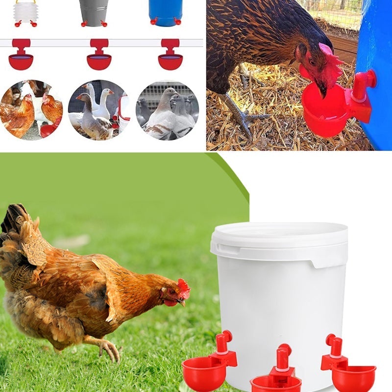 BowLift | Automatic Poultry Drinker