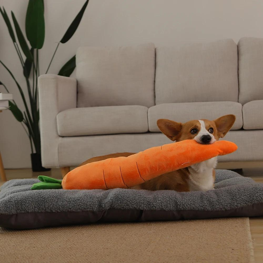 CarrotPlush • Interactive Dog Chew Toy