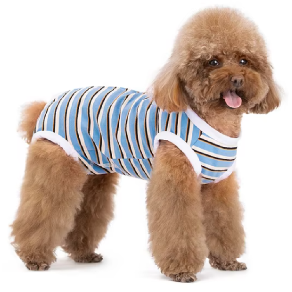 StripeGuard • Dog Recovery Suit for Post-Surgery Care