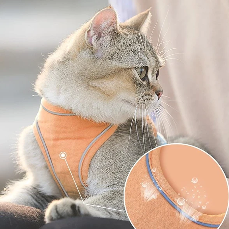 BowLift | Cat Vest Harness and Leash Set