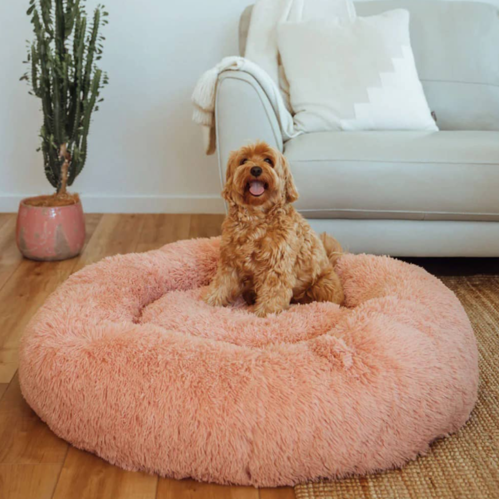 CalmNest • Anxiety-Reducing Pet Bed