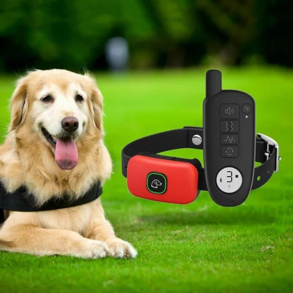 ProTrainer • Dog Training Collar