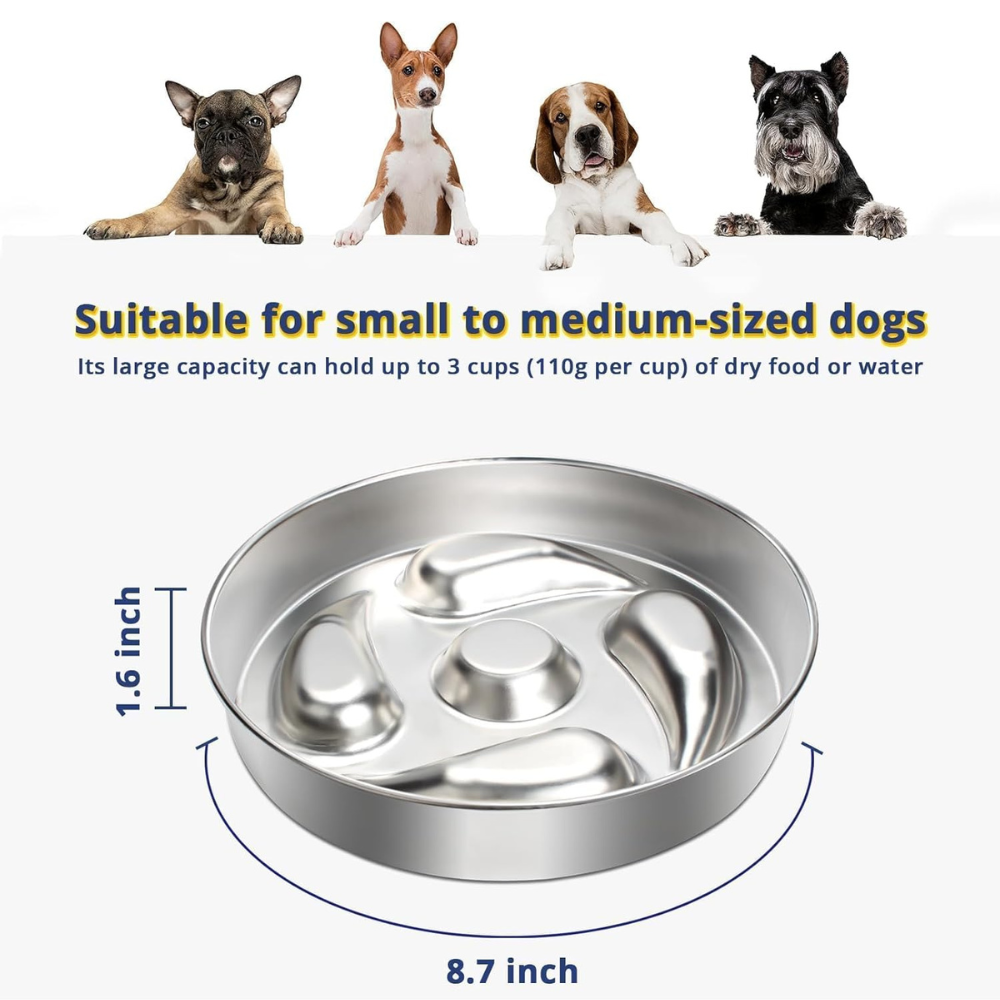 HealthyPaws • Dog Feeding Bowl Slow