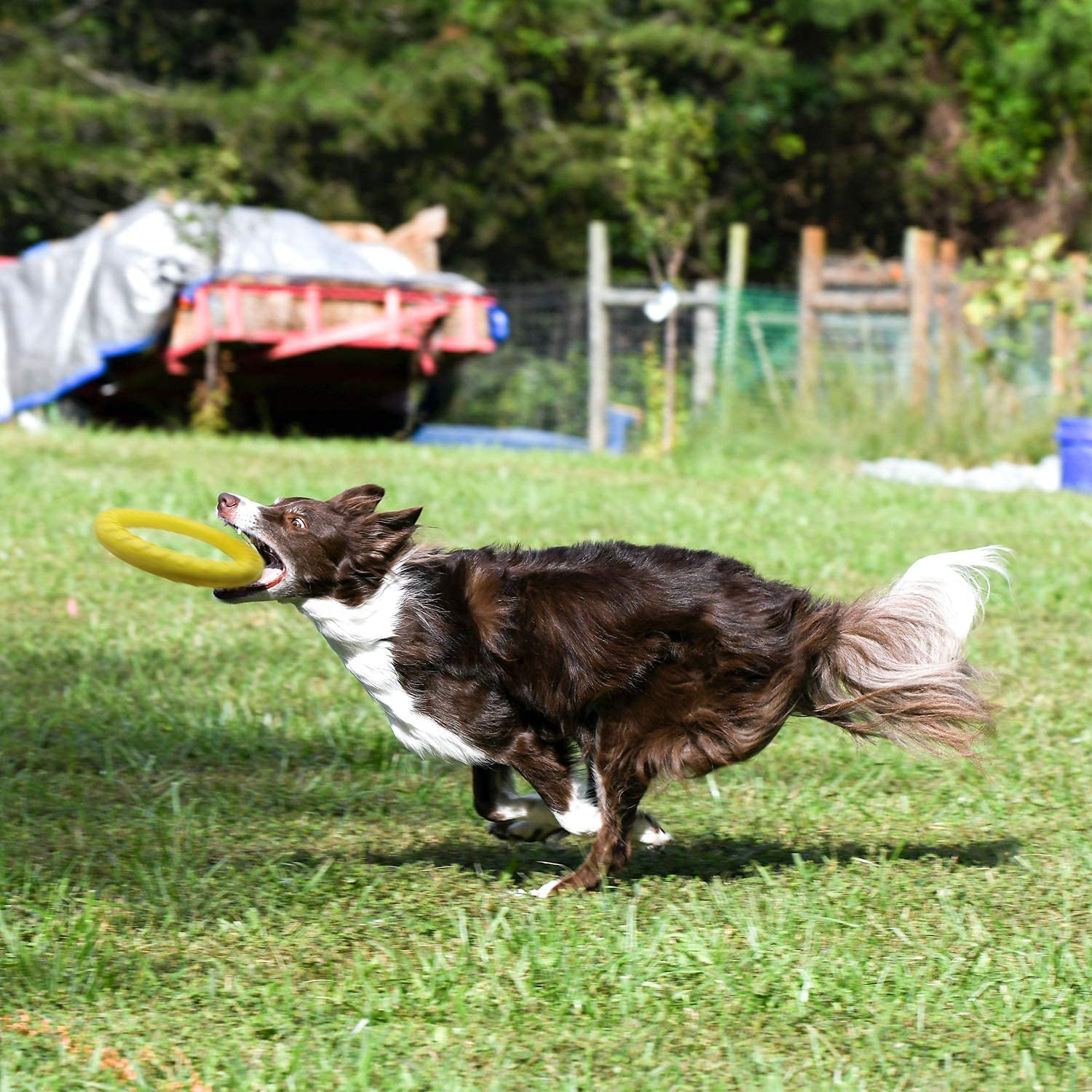 AeroFetch • Interactive Dog Toy