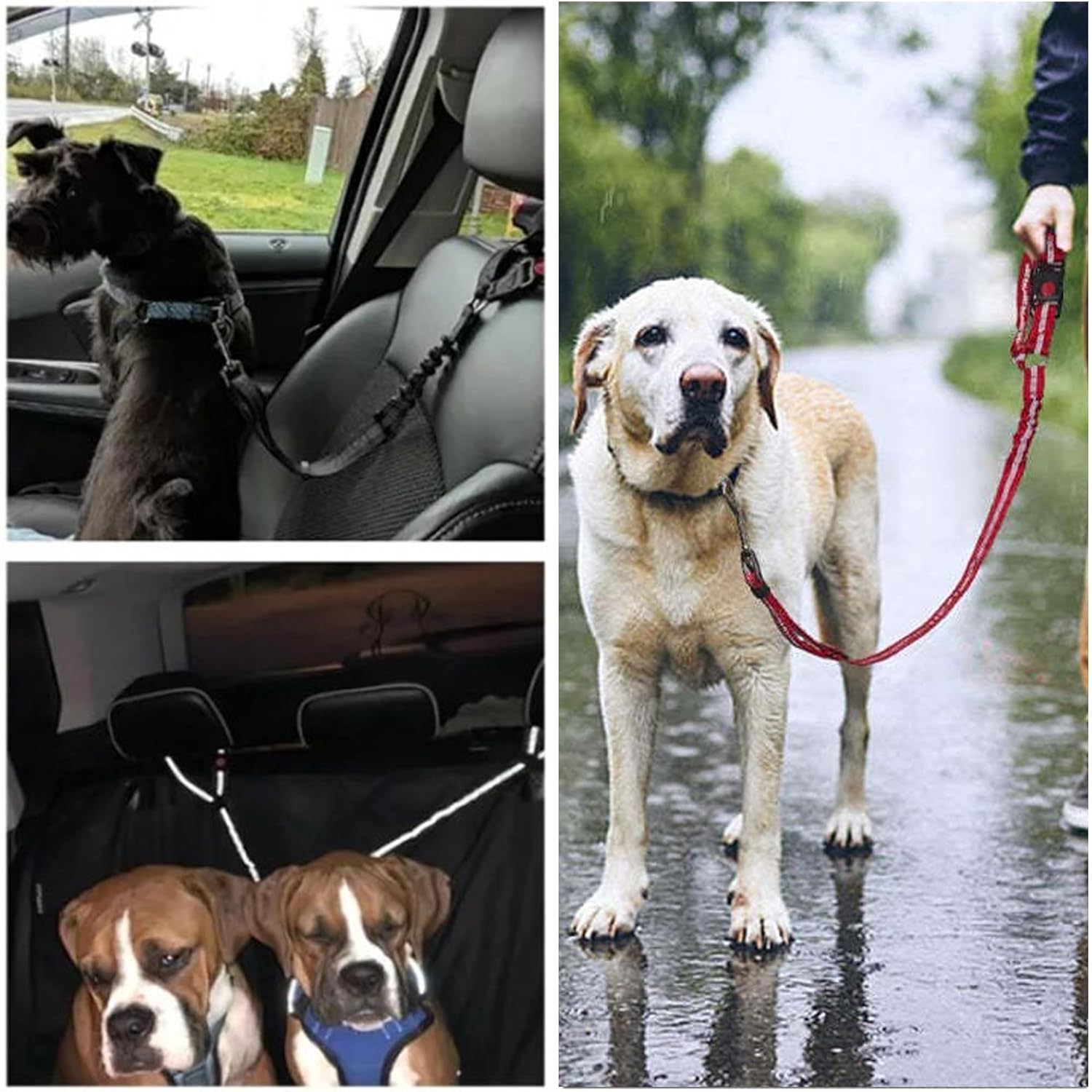 BowLift | Adjustable Reflective 2-in-1 Dog Car Seatbelt Tether with Headrest Restraint