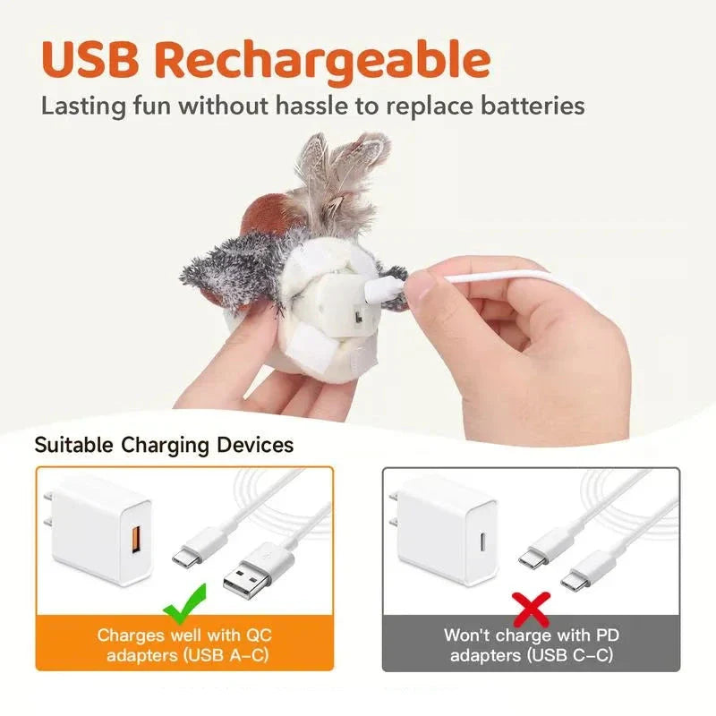 BowLift | Chirpy Cat Toy