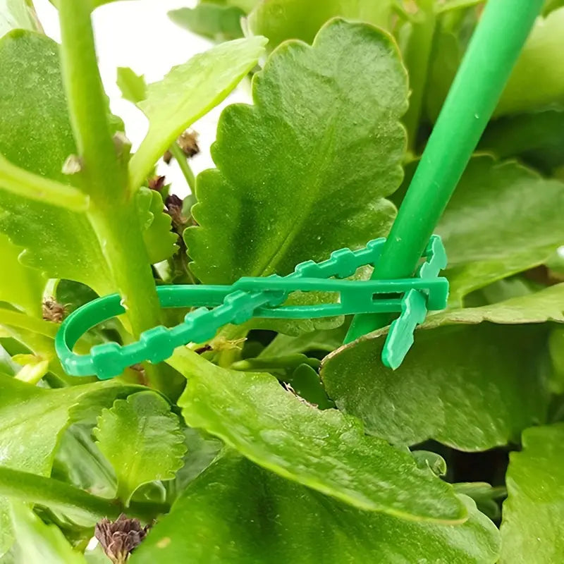 BowLift | Plant fastening cable tie set for stable securing of plants