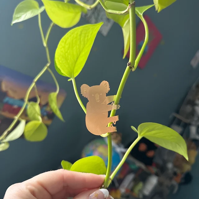 BowLift | Plant Animal Decorations