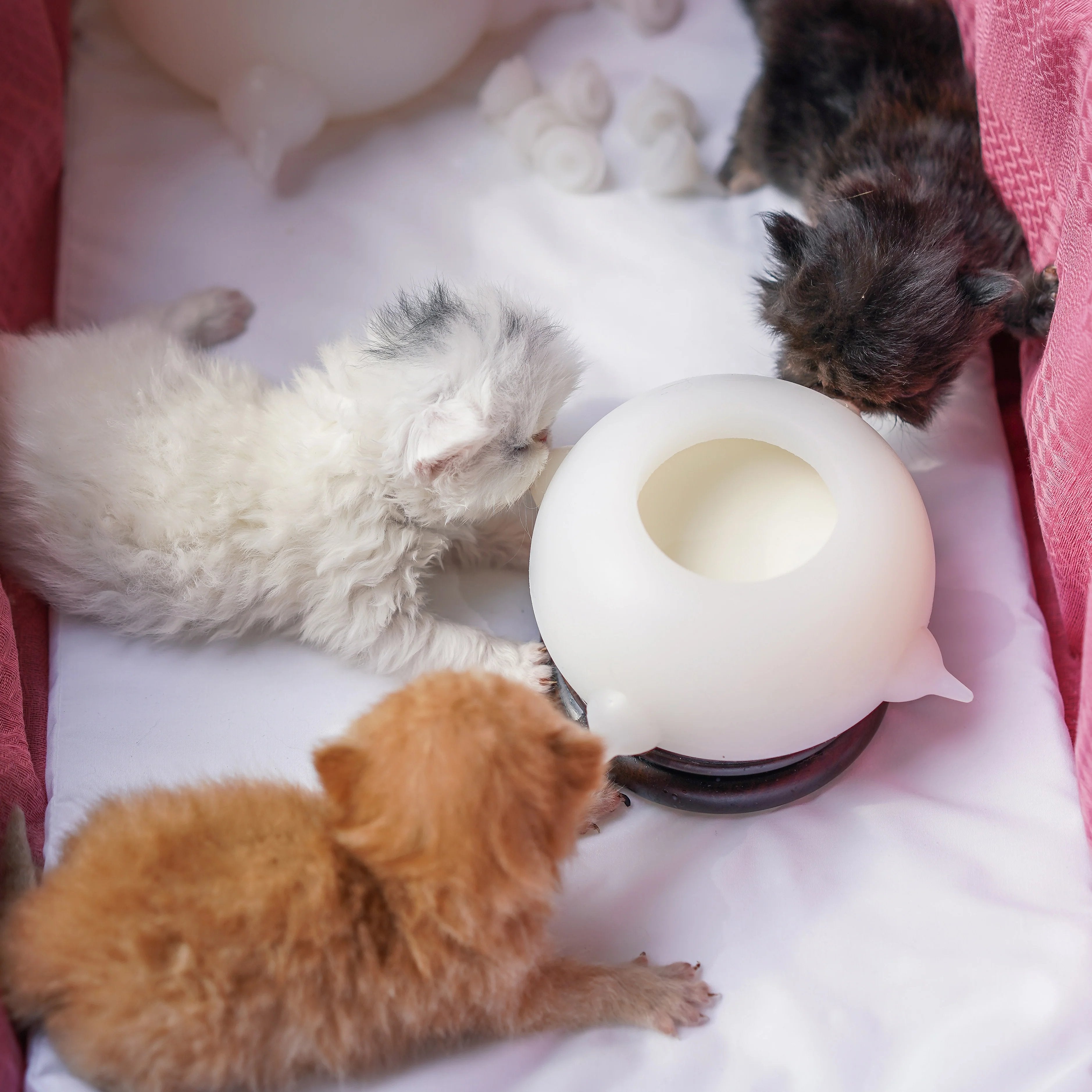 BowLift | Bite-Resistant Simulation Baby Pet Feeding Bowl