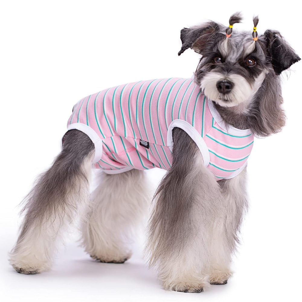 StripeGuard • Dog Recovery Suit for Post-Surgery Care