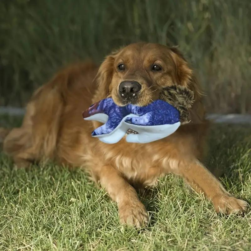 JoyfulBite• Squirrel Dog Toy