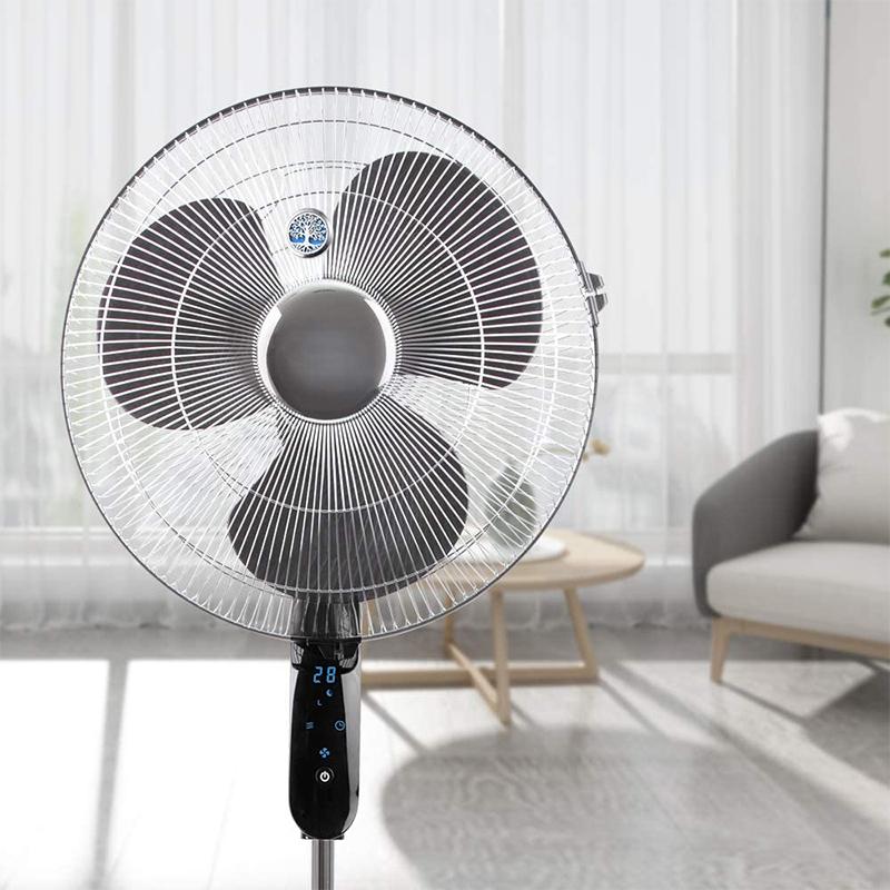 BowLift | Car Air Freshener