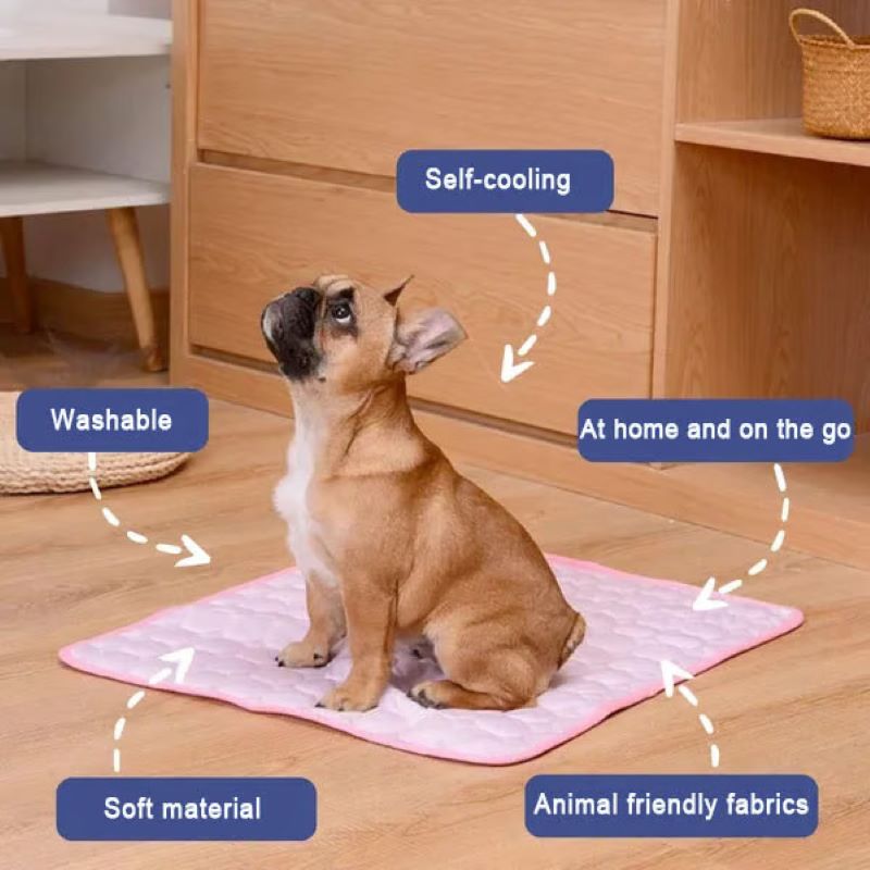 BowLift | Cooling Mat for Dogs (4x More Effective)