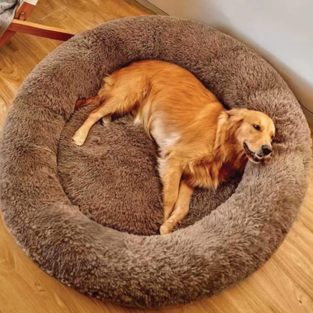 CalmNest • Anxiety-Reducing Pet Bed