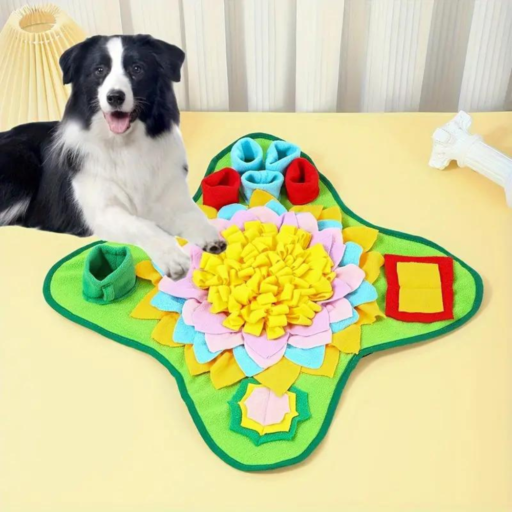 ForageFun• Dog Snuffle Mat