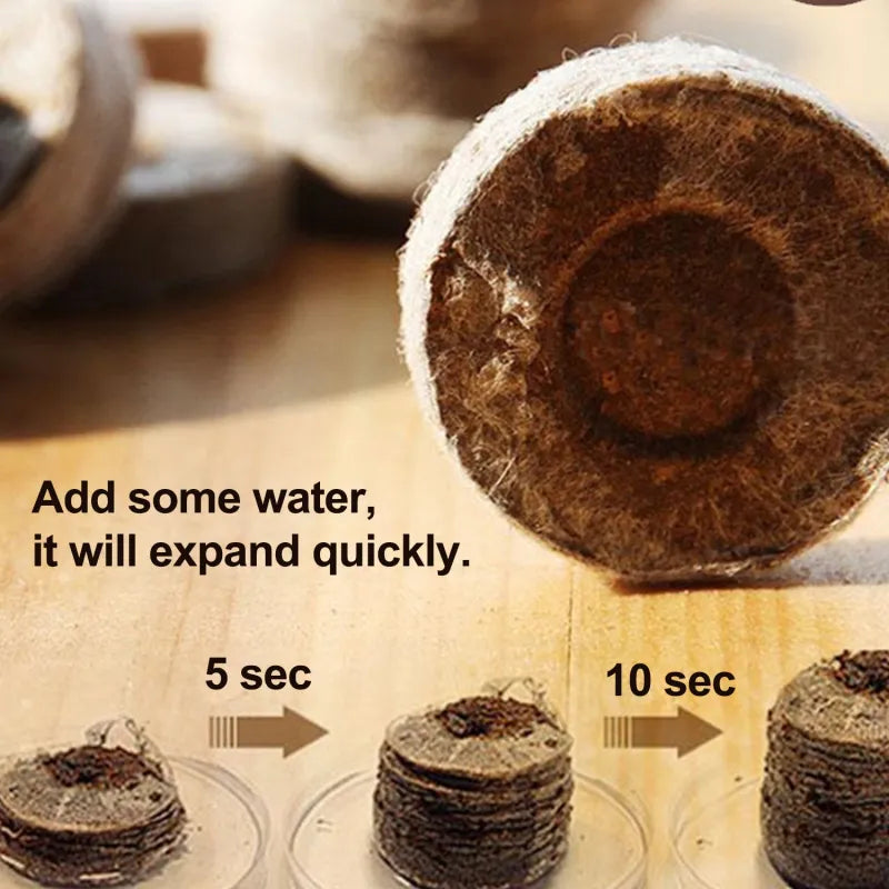 BowLift | Coconut Fiber Peat Seedling Pellets – Starter for Seed Planting