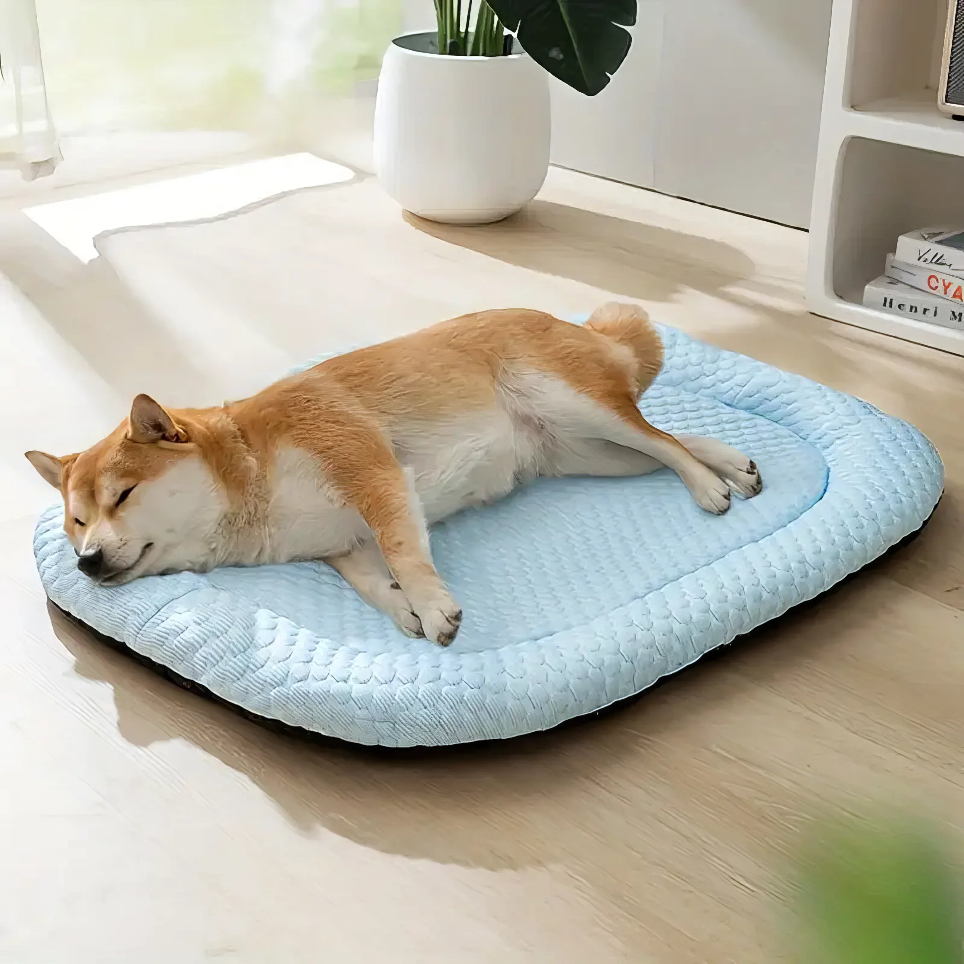 ChillPaws • Cooling Dog Bed