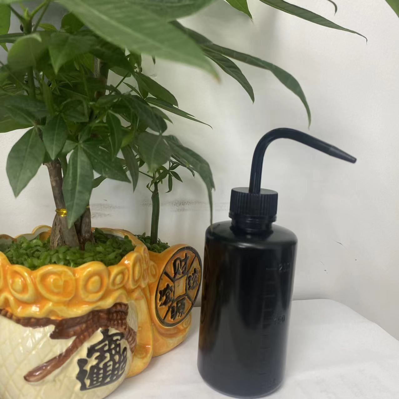 BowLift | Spot 500ml Squeeze Pouring Bottle – Compact Spray Bottle for Precise Pouring and Dosing