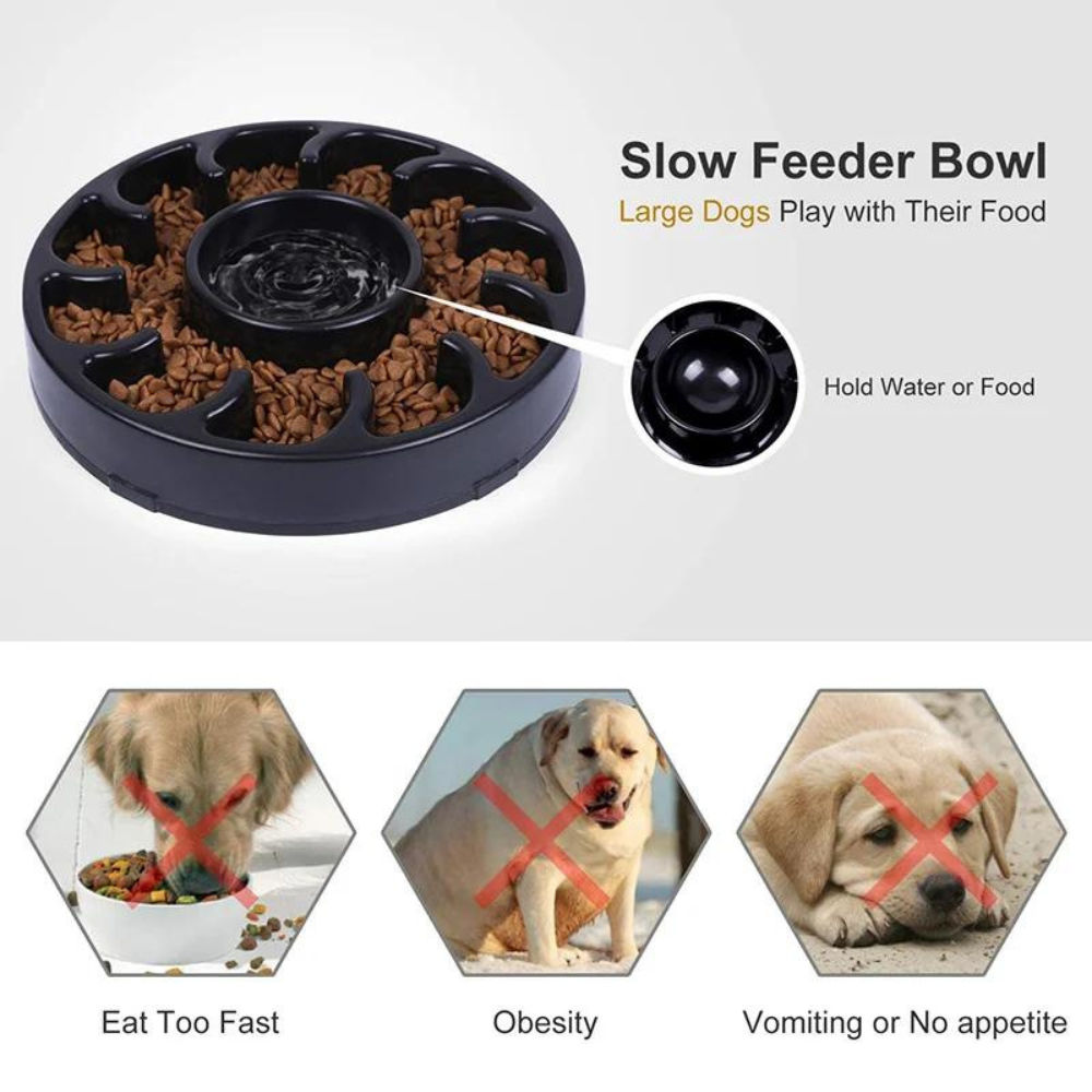 PawSlow • Dog Feeding Bowl Slow