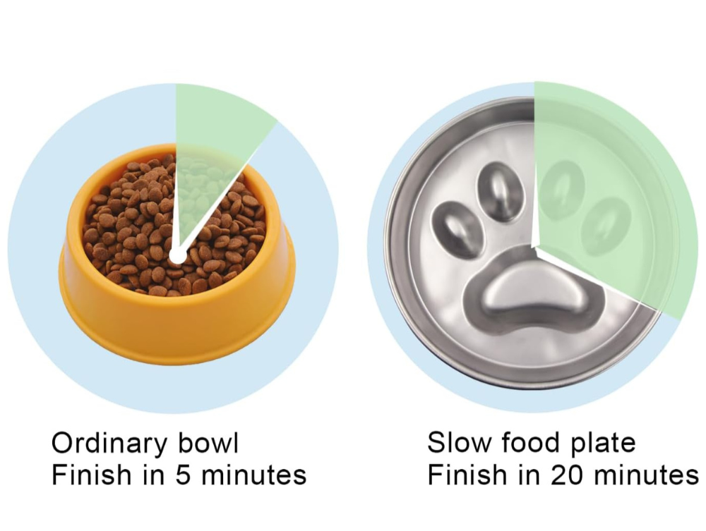 SlowFeast • Dog Feeding Bowl Slow