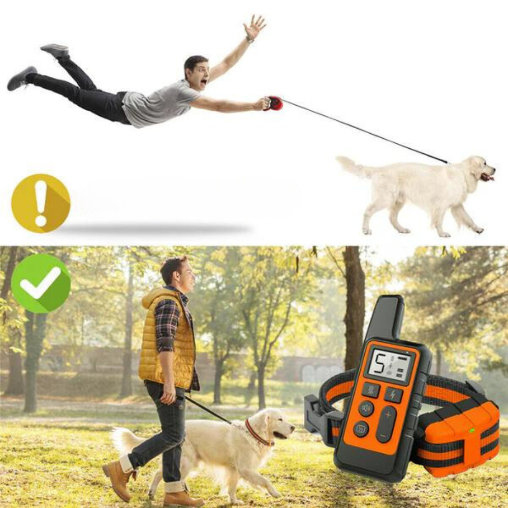 ControlPro • Dog Training Collar